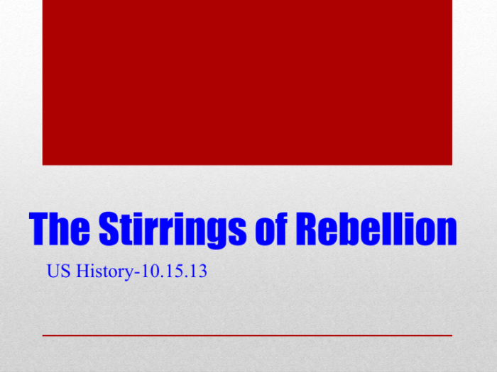 The stirrings of rebellion answer key