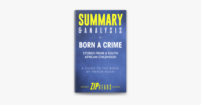 Born a crime chapter 14 summary