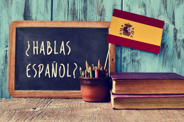 Expresate spanish 1 textbook pdf