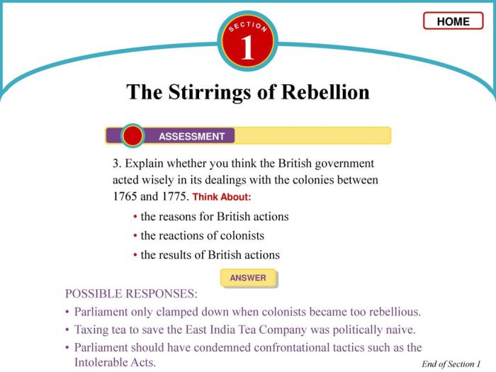 The stirrings of rebellion answer key