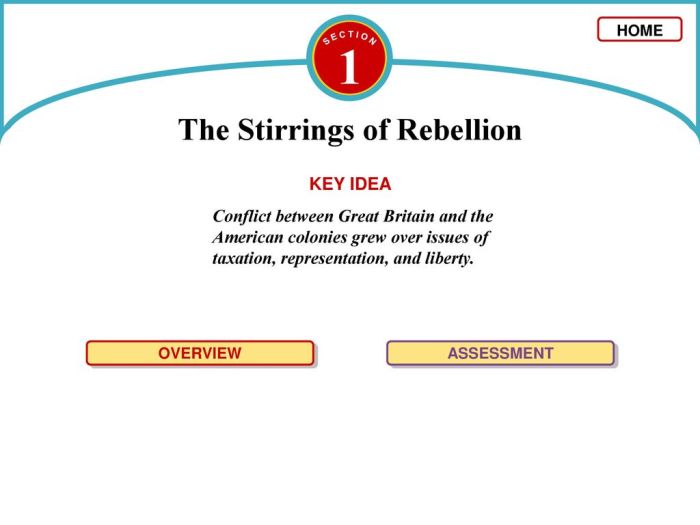 The stirrings of rebellion answer key