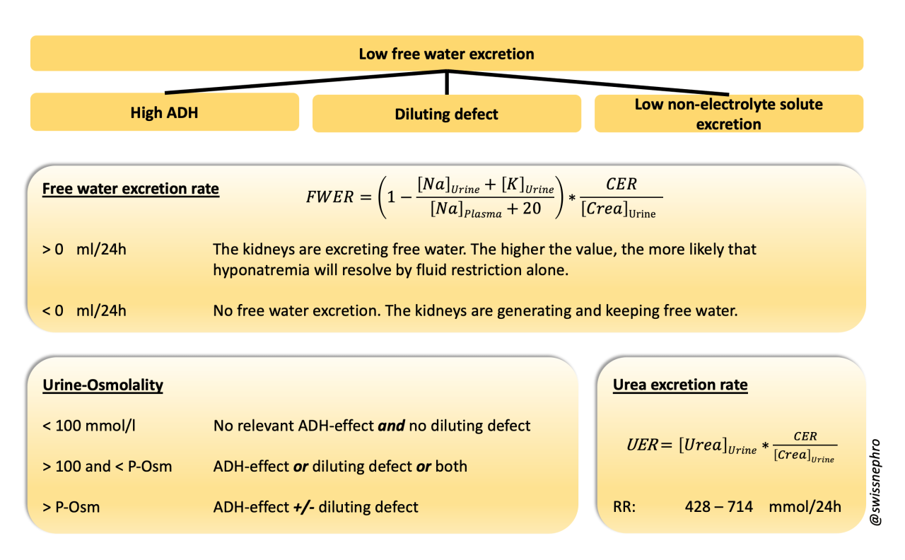 Electrolyte free water clearance calculator