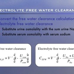 Electrolyte clearance osmotically particles