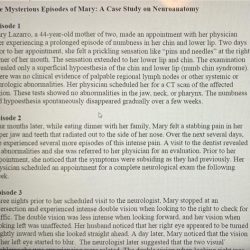 The mysterious episodes of mary a case study on neuroanatomy