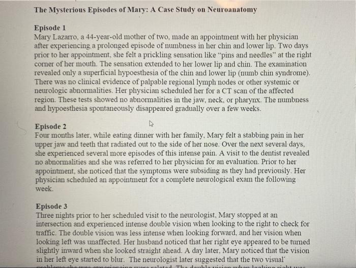 The mysterious episodes of mary a case study on neuroanatomy