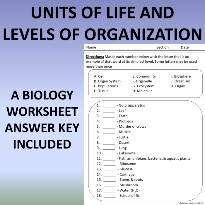 Levels of biological organization worksheet answer key