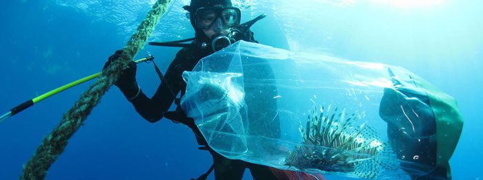 Lionfish invasion density-dependent population dynamics